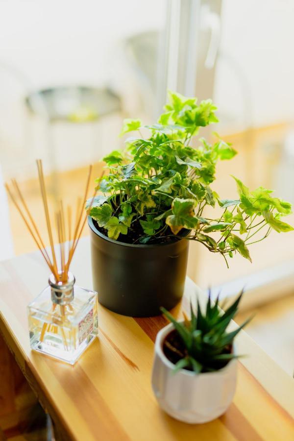 Vibrant Apartament Timişoara